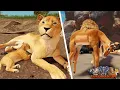 Lion Cub Grows Up To Alpha Lion! | ROBLOX Savannah Life