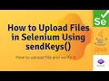 How to Upload Files in Selenium Using sendKeys - Easy Tutorial