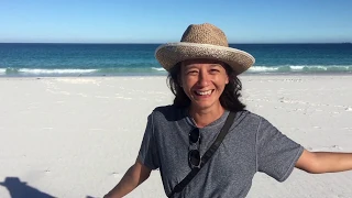 Hiking adventure in Wilsons Promontory with Wallabies, AUSTRALIA  | 22° SOUTH | Ep.14