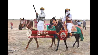 يا الصالحين حضرة عليم الشيخ محمد بولعراس 