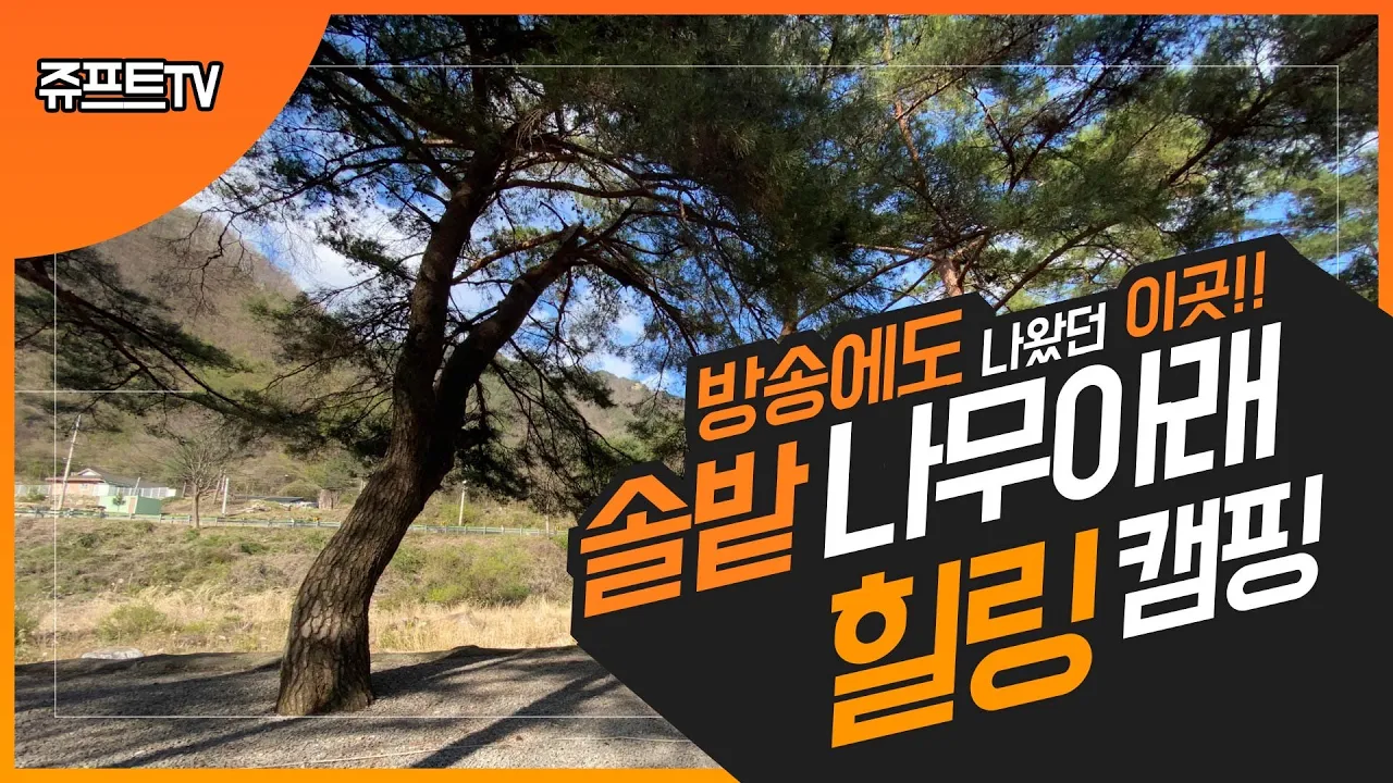 솔밭캠핑장,솔향기 가득한 나무아래서 휴식과먹방캠핑 サムネイル