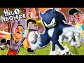 HELLO SONIC THE WEREHOG | Hello Neighbor Mod