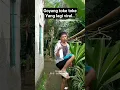 Download Lagu goyang toke toke yang lagi viral #gudanghiburan #funny #lucu #hiburansegar