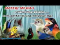 Download Lagu ‼️MASTERAN KOMPILASI TERLENGKAP SUARA JERNIH MUDAH MASUK‼️
