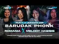 Download Lagu DJ BARUDAK PHONK X ROMANIA X MELODY HABIBIE - STYLE PARTY X JARANAN DOR FULL BAS HOREG || FREE FLM‼️