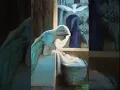 Sweet Christmas gif