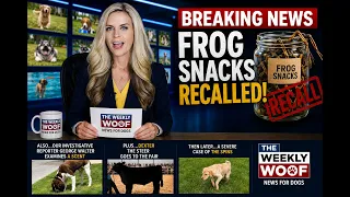 Frog Snacks RECALLED The Weekly Woof News for Dogs