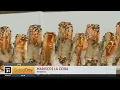 Mariscos La Ceiba in Modesto