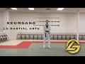 Download Lagu Keumgang | LG Martial Arts