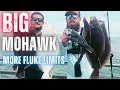 New Jersey Fluke Fishing On The Big Mohawk