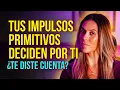 Download Lagu Your impulses rule more than you think (even if you deny it) - Animal Instinct