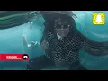 Gunna - Richard Millie Plain (Clean) (Drip or Drown 2)
