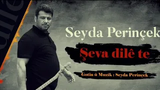 سيداي بيرنجيك شفا دلي ته 