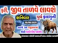 Download Lagu ભારે વરસાદની આગાહી 🔴 Live:ગાજવીજ સાથે વરસાદ,Rain Forecast in Gujarat in 24 hour, Weather Tv
