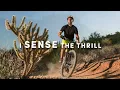 Experience Sierra Vista AZ