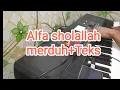 Lagu Alfa sholallah merduh+Teks!