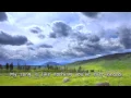 Wounded Bird | Official Lyric Video