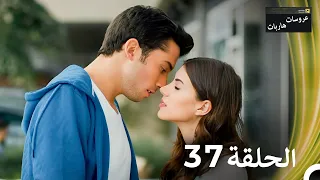 عروسات هاربات الحلقة 37 مدبلج بالعربية 