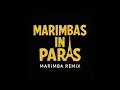 Download Lagu Jay-Z \u0026 Kanye West - Marimbas in Paris (Marimba Remix) Marimba Remix Ringtone