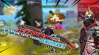 sg kok kayu acak acak bermuda highlight 