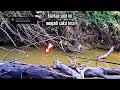 Download Lagu PE 3 kena MENTAL !!! saat mancing ikan gurame besar