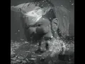 Download Lagu Hopsin, Token, Dax, Ekoh, Futuristic, Ace Hood, NF \u0026 Eminem   Resurgence 3 Remixed/Reup 4K