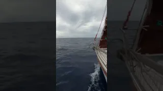 #sailing #ocean #sounds #travel #oceansailing