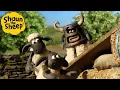 Fake Sheep 🐑 Shaun the Sheep 🐑  - Cartoons for Kids 🐑 Full Episodes Compilation [1 hour]