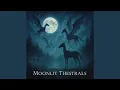 Download Lagu The Moon is Lit