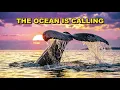 🌊 The Ocean off the Coast of the Forgotten Kingdom 🌊 Pink Noise 1.5 hours