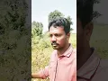 Download Lagu పచ్చని చిలుకలు తోడుంటే!??