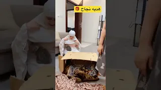 أجمل هديه نجاح اكسبلور Funny Trending ترند Comedy Explore ضحك Tiktok Shorts هدايا 