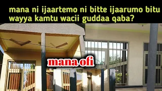 Mana Ni Ijaartemo Ni Bitte Ijaarumo Bitu Wayya Kamtu Wacii Guddaa Qaba 