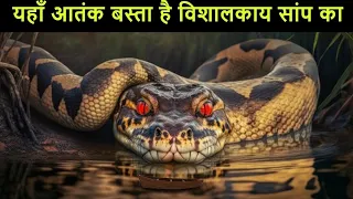 इस जंगल में मौजूद है सबसे खतरनाक जीव| Mystery of Amazons
