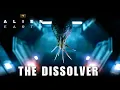 Download Lagu D. PLUMBICARE: Alien: Earth's Most Disturbing New Creature (Predator Connection!)
