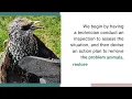 AJS Wildlife Solutions Expert Wildlife Removal and Control Services in St Louis MO