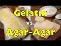 Agar-Agar vs Gelatin Which One Should You Use