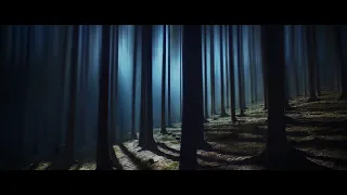 Circles Bob Night 5 Minute Loop HD Good Part 