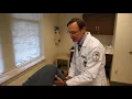 Meet Dr Stephen Gross