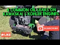 4 Common oil leaks on Kawaskai Kohler engines Commercial Residential mowers