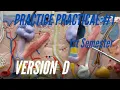 A P PRACTICE PRACTICAL 1st Semester Practice Practical Version D