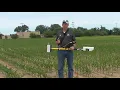 Using Models to Predict Corn Nitrogen Rates