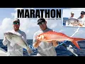 Fishing Marathon FL with Superfish Charters Hawks Cay Resort Local Knowledge S11 E3