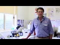 Yass Valley Veterinary Yass Hospital Tour