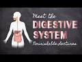 Meet the Digestive System Part 1 Foundations in Digestion Nourishable Macronutrients Lecture 4