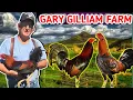 Visita Gary Gilliam Farm Round Head Penny Hatch