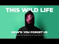 Download Lagu This Wild Life - How'd You Forget Us (feat. Joshua Roberts of Magnolia Park) [Official Audio]