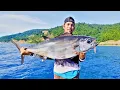 Download Lagu Tarikannya Sampai Bikin Saya Panik Gemetar || Saya Kira Dibegal Ternyata Babon Dogtooth Tuna😱