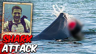 the horrifying final moments of simon nellist great white shark attack