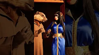 وجه بيض بحال الجير   ضريبة الجمال    ريلز  عسيلة دندنها